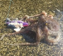 とりあえず暑さ対策を！！