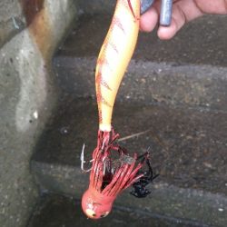 雨の日はあたりが小さい?