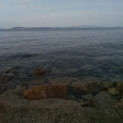 苅屋海岸のキス釣り