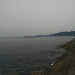 苅屋海岸のキス釣り