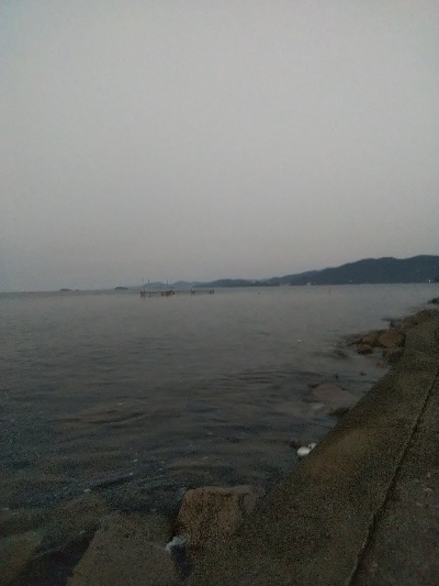 苅屋海岸のキス釣り