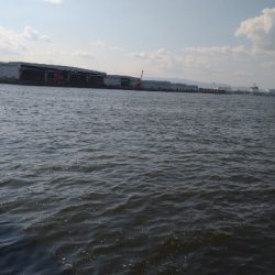 バースデータコ