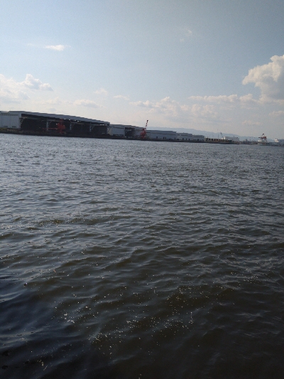 バースデータコ