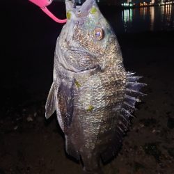 何か釣れるかな釣行