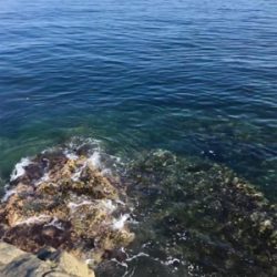 晩酌用のおつまみ確保