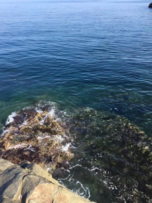 晩酌用のおつまみ確保