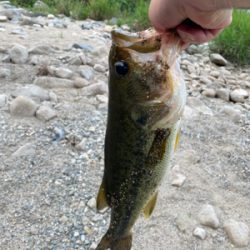 不安定な天気で
