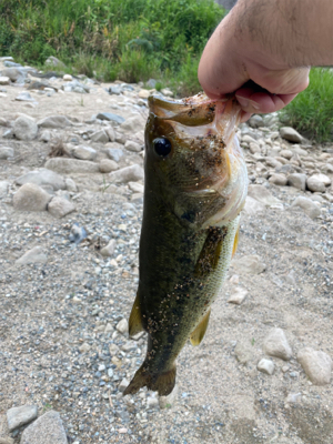 不安定な天気で