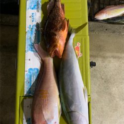 いつものポイントでジギング、タイラバ釣行