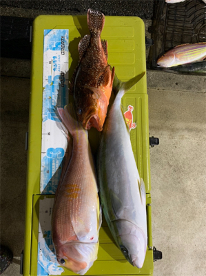 いつものポイントでジギング、タイラバ釣行