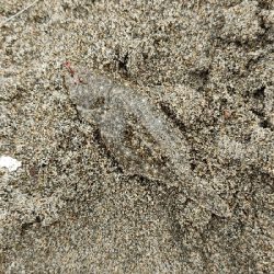 久しぶりのキス狙い