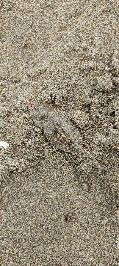 久しぶりのキス狙い