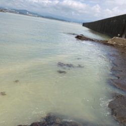 田辺でライトショアジギ