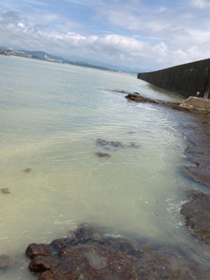 田辺でライトショアジギ