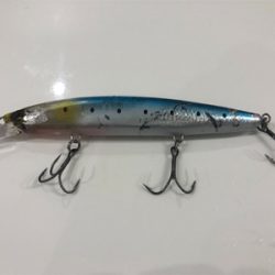 67センチのメジロ