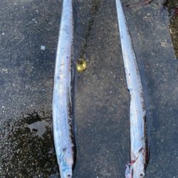 暴風の中、なんとか