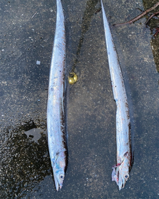 暴風の中、なんとか