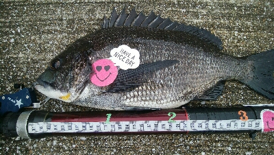 『釣りデビュー(^^)』193日目