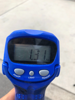 夕涼みオクトパッシング