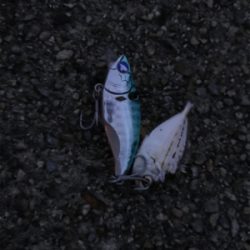 チーバスとゆかいな。