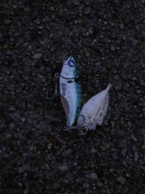 チーバスとゆかいな。