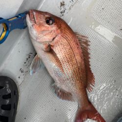 豪雨一つテンヤ