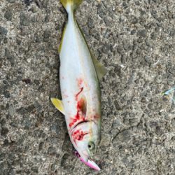 スーパーライトショアジギング