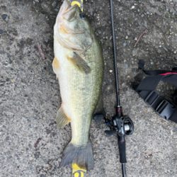 久しぶりの琵琶湖