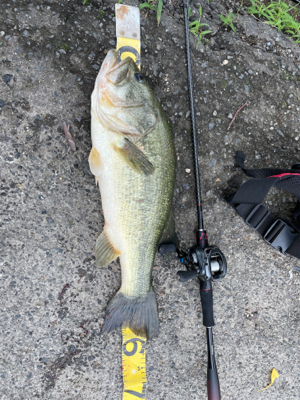 久しぶりの琵琶湖