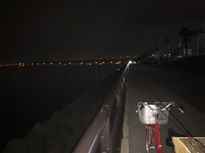 久しぶりのメバリング！