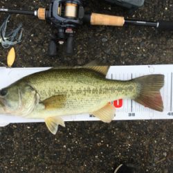 全開放水な琵琶湖