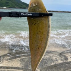 久々のエサ釣り