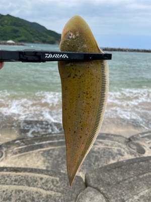 久々のエサ釣り