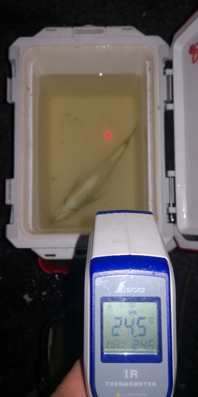 アジング練習　308　