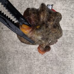 オクトパッシング