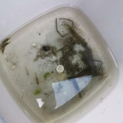 穴釣で2本ヒット