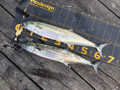 今日は福井遠征