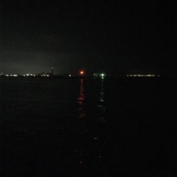 ロックフィッシュ