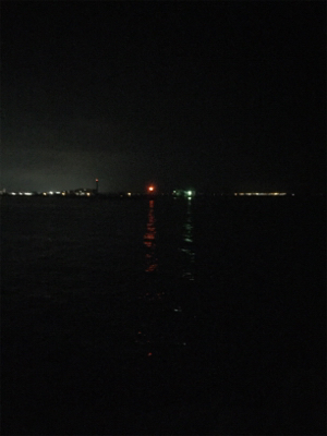 ロックフィッシュ