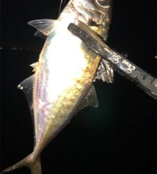 仕事帰りのアジングナイト