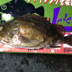 癒しタイム継続中