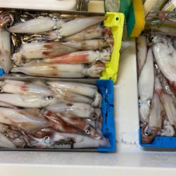 初めてのイカメタル