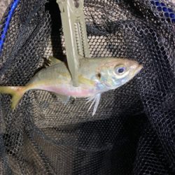 フロートアジング