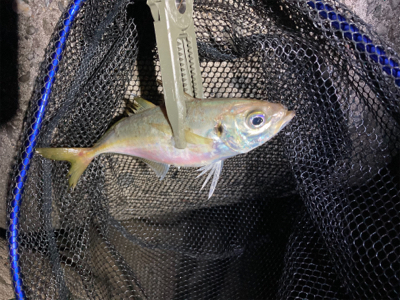 フロートアジング