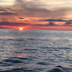 チャーターで楽しく