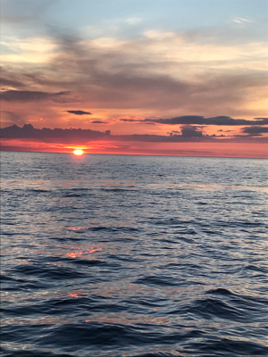 チャーターで楽しく