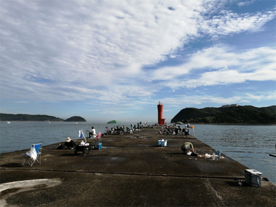 サバ大漁　和歌山釣行