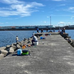 キス釣り、ハゼ釣り