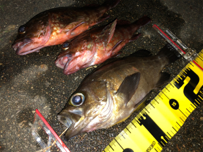 メバリング最終回？