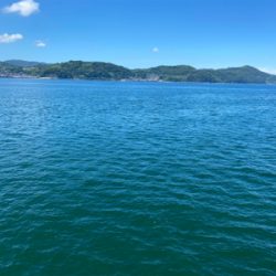 はじめてのカゴ釣りで尺(足らず)アジゲット